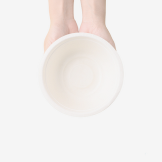 Disposable bowls