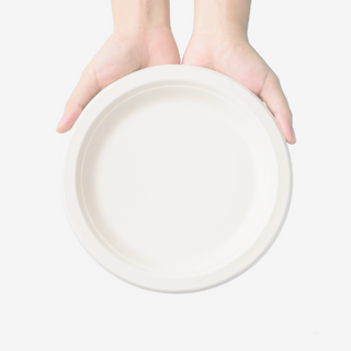 Disposable dinner plates