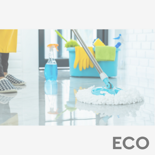 Floor Cleaner Environmentally Friendly