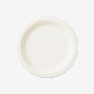 Disposable Plates for Catering & Takeaway