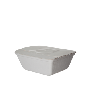 Sugarcane Folia Container, 7x6x2.5in, White - Detpak