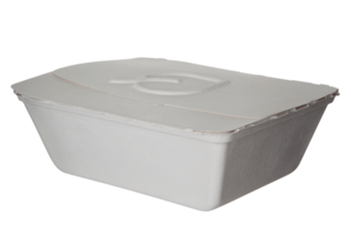 Sugarcane Folia Container, 9x7.5x3.5in, White - Detpak